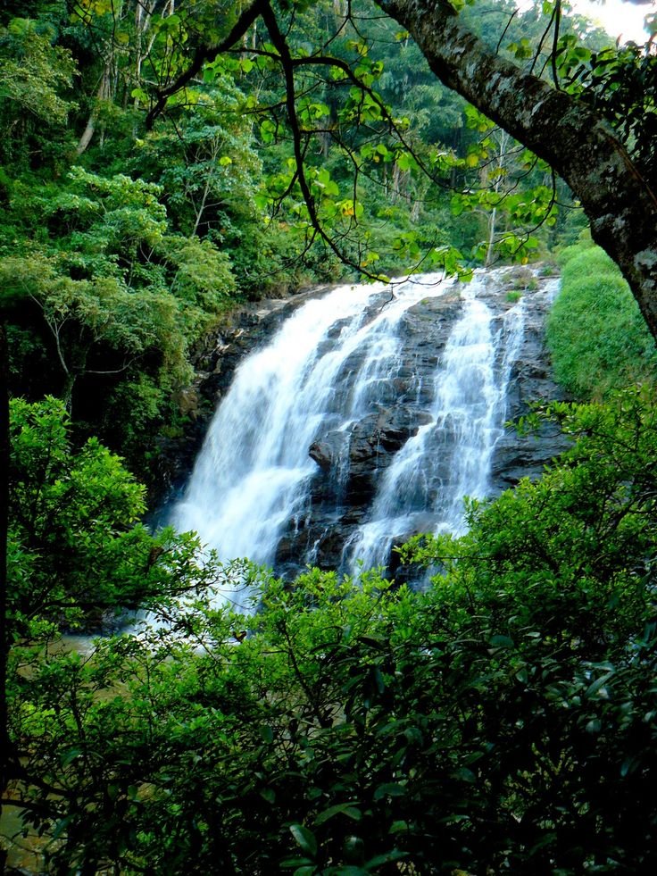 4D Coorg Scenic Plantation Journey