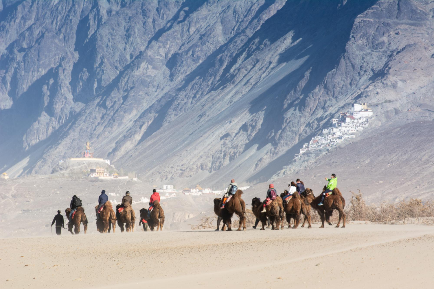 7D Ladakh Classic Explorer Tour