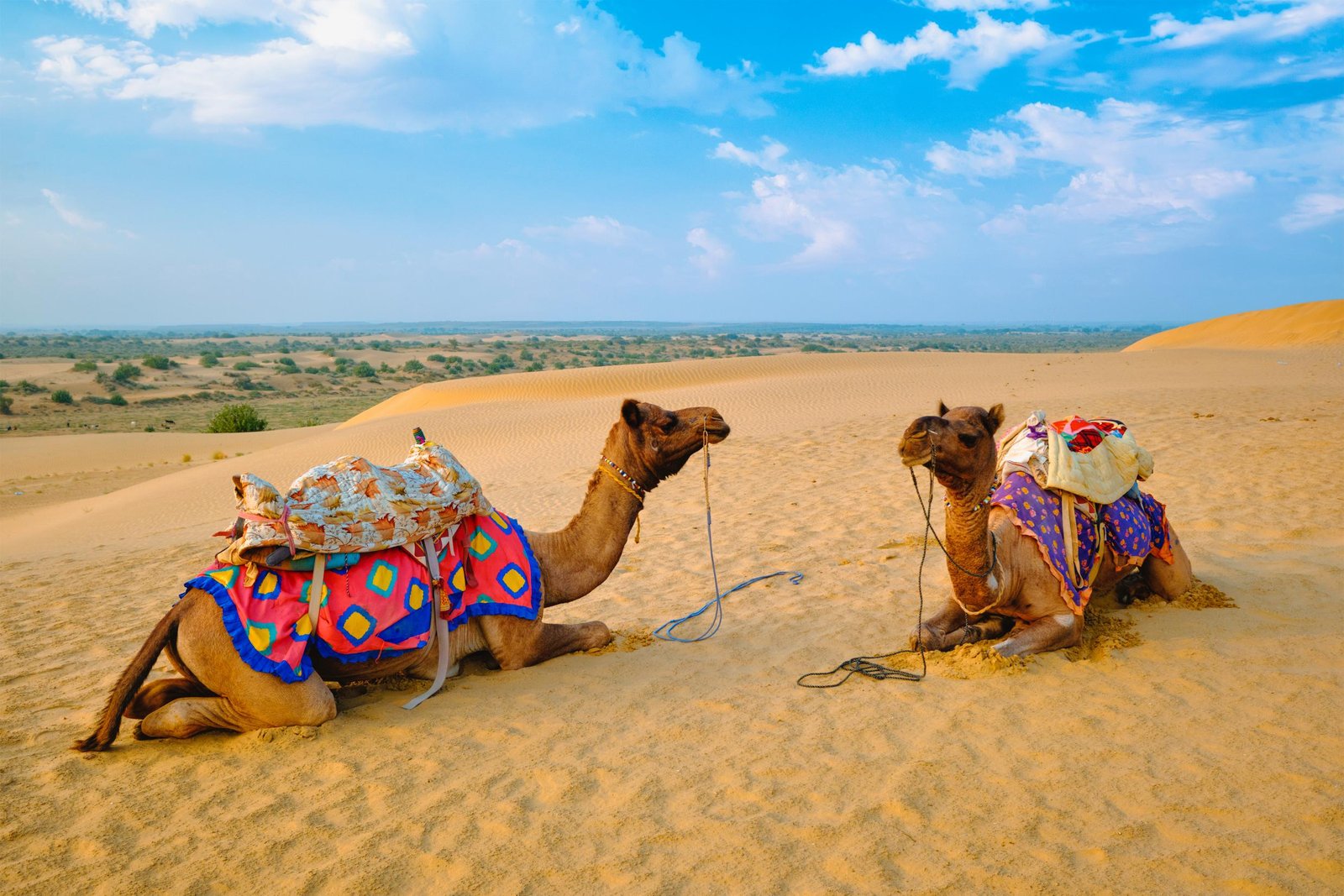 7D Jodhpur Ajmer Jaipur Ranthambhore Agra Ex Jodhpur
