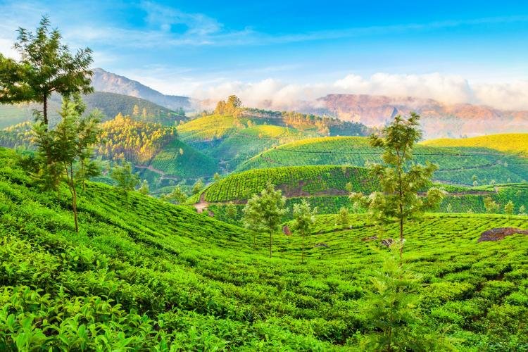 5D Darjeeling Lamhatta Mirik