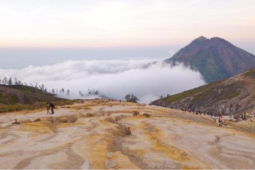 4D Mussoorie Dhanaulti Kanatal