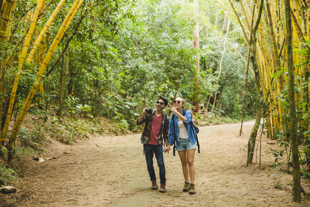 4D Wayanad Nature Retreat