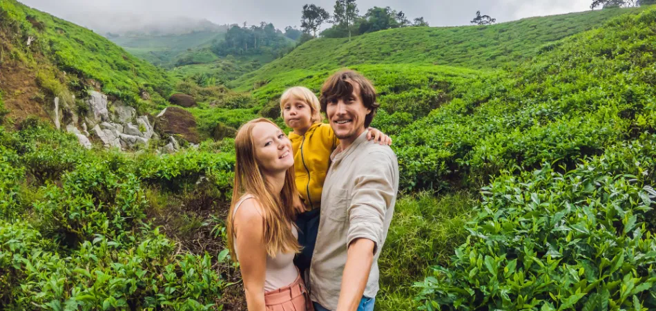 5D Munnar thekkady Allephey