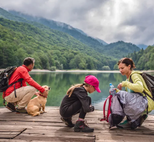 7D Shimla Manali Amritsar