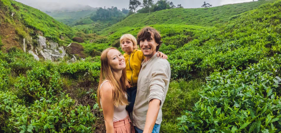 Cochin Munnar Thekkady Allephey From Delhi