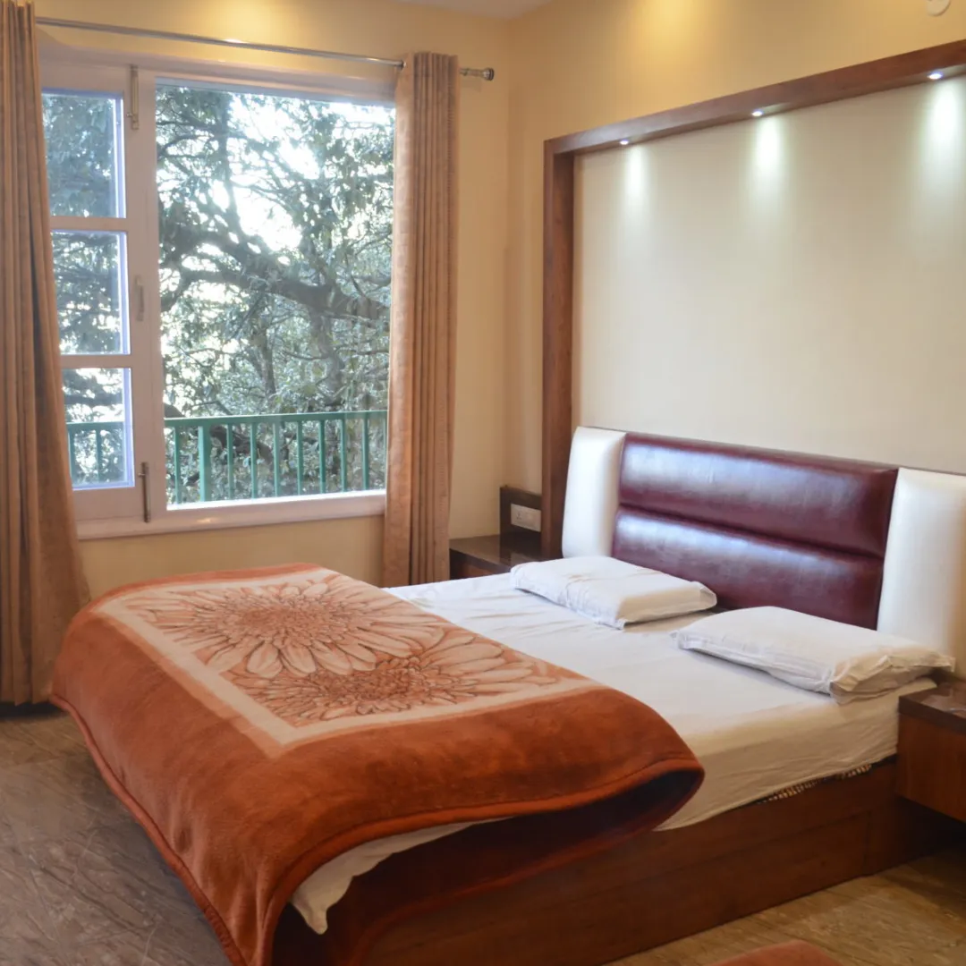 Srinagar Package