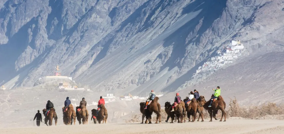 Leh Nubra Tour