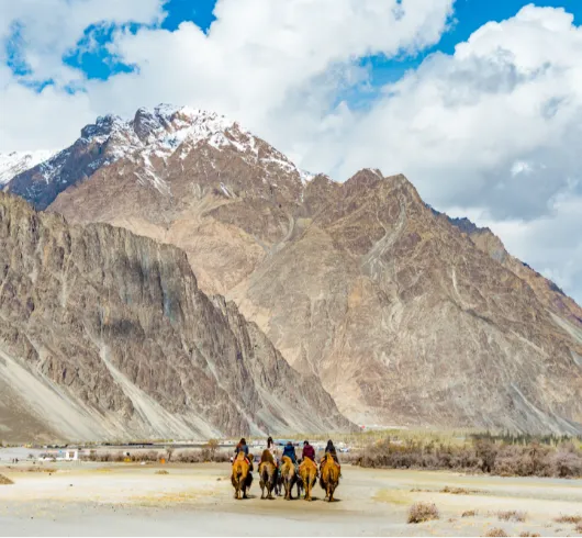 6D 3 LEH 1 NUBRA 1 PANGONG