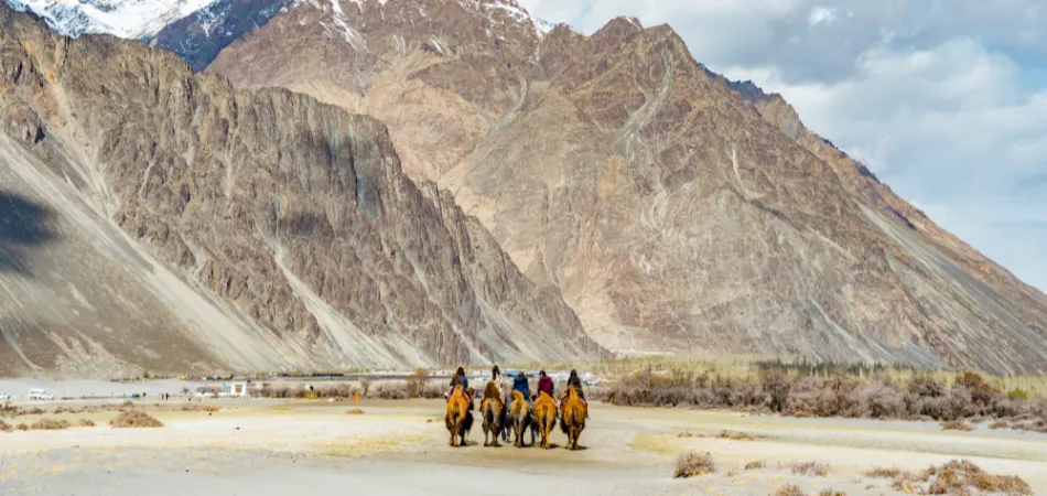 6D 3 LEH 1 NUBRA 1 PANGONG