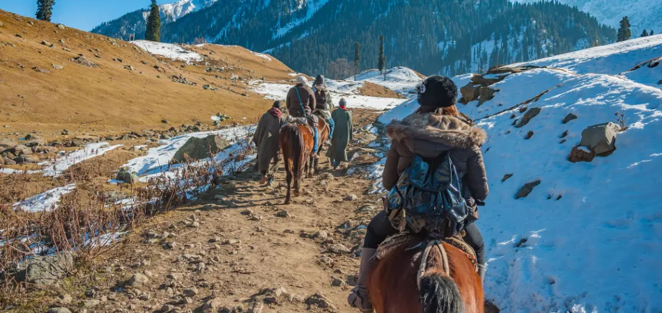 7D 1 KARGIL 3 LEH 1 NUBRA 1 PANGONG