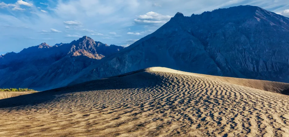 7D 4 LEH 1 NUBRA 1 PANGONG