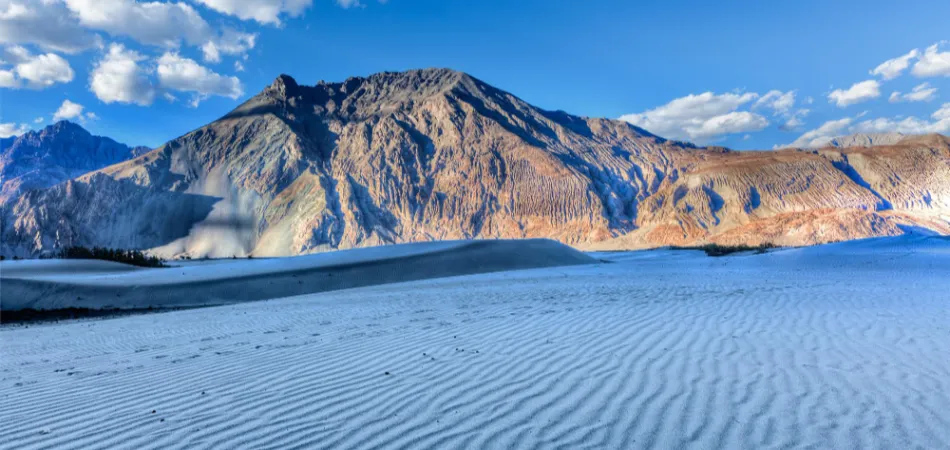 8D 4 LEH 1 NUBRA 1 PANGONG 1 Tso Morori