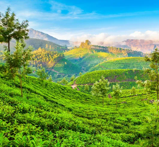 Gangtok Darjeeling Kalimpong