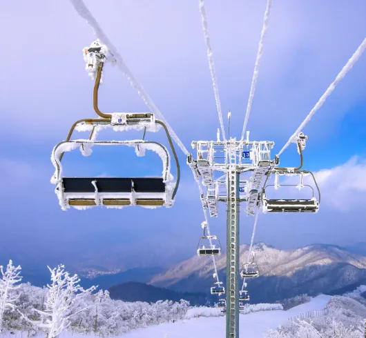 6D Mussoorie Dhanaulti Nainital Jimcorbett