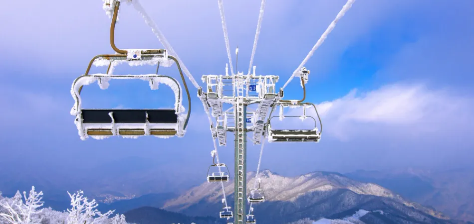 6D Mussoorie Dhanaulti Nainital Jimcorbett