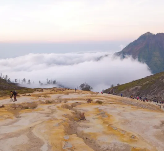 7D Nainital Ranikhet Jimcorbett Musoorie