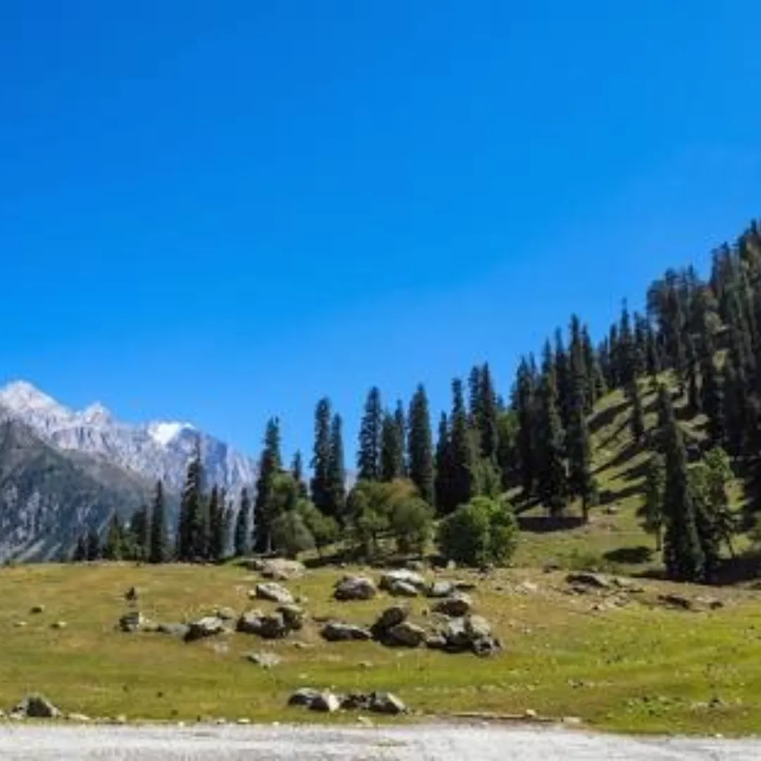 Sonmarg